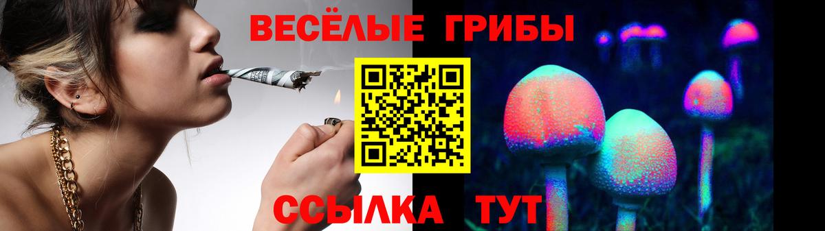 Сунжа  Галлюциногенные грибы ЛСД  Галлюциногенные грибы MAGIC MUSHROOMS  Вход с VPN 
